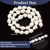Natural Baroque Pearl Keshi Pearl Beads Strands, Cultured Freshwater Pearl, Nuggets, Seashell Color, 7~8mm, Hole: 0.8mm, about 46~48pcs/strand, 13.77 inch~14.17 inch, 2strands/box