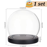 Glass Dome Cover, Decorative Display Case, Cloche Bell Jar Terrarium with Wood Base, Black, 125x115mm