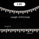 Glass Rhinestone Cup Chains, Tassel Chains, with Iron Findings, Wedding Dress Decorative, Crystal, 22x4.5mm, about 3.00 Feet(0.91m)/Card