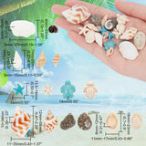 DIY Beads Jewelry Making Finding Kit, Including Natural Conch & Cowrie & Spiral Shell Beads, Starfish & Tortoise Dyed Synthetic Turquoise Beads, Mixed Color, 7~58x3~35x2~34mm, Hole: 1mm