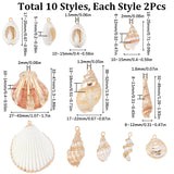 20Pcs 10 Styles Electroplated Natural Mixed Shell Pendants, Shell Charms, with Iron Loops, Mixed Color, 17~52x10~38x5~18mm, Hole: 1.2~2mm, 2pcs/style