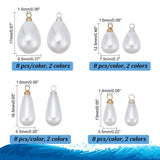 64Pcs 8 Style ABS Plastic Imitation Pearl Pendants, with Brass Finding, Teardrop Charm, Mixed Color, 12.5~17x5.5~9.5mm, Hole: 1.5~1.6mm, 8pcs/style
