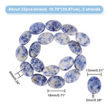 2 Strands Flat Oval Natural Blue Spot Jasper Beads Strands, 18x13x6mm, Hole: 2mm, about 22pcs/strand, 15.70''(39.87cm)