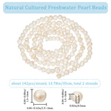 2 Strands Natural Cultured Freshwater Pearl Beads Strands, Potato, Seashell Color, 1.5~2x1.5~3x1.5~2mm, Hole: 0.5mm, about 142pcs/strand, 13.78 inch(35cm)