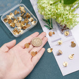 40Pcs 304 Stainless Steel Stud Earring Findings, with Ear Nuts/Earring Backs & Loop, Textured, Flat Round, Golden, Hole: 1.4mm, Inner Diameter: 12mm, Pin: 0.8mm, 40pcs/box