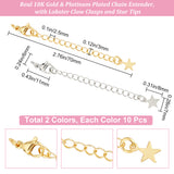 20Pcs 2 Colors Brass Curb Chain Extender, End Chains with Lobster Claw Clasps and Star Chain Tabs, Long-Lasting Plated, Real Gold Plated & Real Platinum Plated, 70x3mm, Hole: 2.5mm, 10Pcs/color