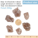 300G Raw Natural Smoky Quartz Display Decorations, Nuggets, 28~43x14~37x14.5~25mm