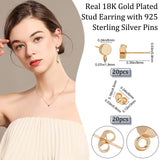 20Pcs Brass Stud Earring Findings, with Vertical Loops, with 20Pcs Ear Nuts, Flat Round, Golden, 9x6mm, Hole: 1.8mm, Pin: 0.8mm