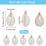 30Pcs Natural Cowrie Shell Pendants, Shell Charms with Eco-Friendly Copper Wire Loops, Real 18K Gold Plated, 27~30x14~15x7~7.5mm, Hole: 4mm