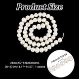 1 Strand Natural Cultured Freshwater Pearl Beads Strands, Nice for Mother's Day Jewelry Making, Potato, White, 5~6mm, Hole: 0.8mm, about 60~61pcs/strand, 14.17~14.57 inch(36~37cm)