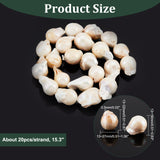 1 Strand Natural Baroque Pearl Keshi Pearl Beads Strands, Cultured Freshwater Pearl, Nuggets, Creamy White, 14~28x12~16x12~16mm, Hole: 0.6mm, about 19~26pcs/Strand, 15.75 inch(40cm)