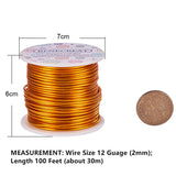 Round Aluminum Wire, Goldenrod, 12 Gauge, 2mm, about 98.42 Feet(30m)/roll