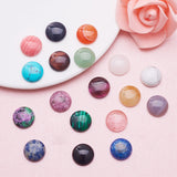 18 Kinds Natural & Synthetic Gemstone Cabochons, Half Round, 16x6mm, 1pc/color, 18pcs/set