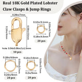 10Pcs Ion Plating(IP) 304 Stainless Steel Lobster Claw Clasps, with 60Pcs Brass Open Jump Rings, Real 18K Gold Plated, 15x7x4mm, Hole: 1x1.5mm