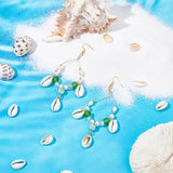 Natural Mixed Cowrie Shell Beads, Cowrie Shells, PapayaWhip, 13~16x10~11x3~5mm, 240g/box