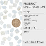 100Pcs 2 Style Natural Freshwater Shell Cabochons, Square & Oval, Seashell Color, 50pcs/style