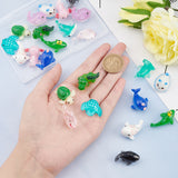 24Pcs 12 Style Opaque & Transparent Resin Cabochons, Mixed Animals, Mixed Color, 21.5~32x15~25.5x9.5~19.5mm, 2pcs/style