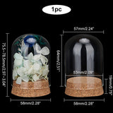 Glass Dome Cover, Decorative Display Case, Cloche Bell Jar Terrarium with Cork Base, Arch, Clear, 58x77.5~78.5mm