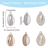 20Pcs 2 Colors Electroplated Natural Cowrie Shell Pendants, Shell Charm with Iron Findings, Platinum & Golden, 18~24x10~14x6~7mm, Hole: 1.5mm, 10pcs/color