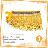 Polyester Tassel Fringe Trimming, Garment Accessories, Plastic Sequins and Acrylic Rhinestone Chains Belt for Women, Gold, 1700x40~275x8mm