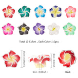 Handmade Polymer Clay 3D Flower Plumeria Beads, Mixed Color, 15x8mm, Hole: 2mm, 100pcs/set