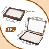 Wood Jewelry Presentation Boxes with White EVA Foam Mat Inside, Flap Cover Insect Specimen Display Case with Visible Acrylic Window, Rectangle, Coconut Brown, 31.2x22x4.7cm