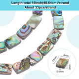 1 Strand Natural Abalone Shell/Paua Shell Beads Strands, Rectangle, 12x8x3mm, Hole: 0.5mm, about 33pcs/strand, 16''(40.64cm)