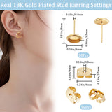 50Pcs Flat Round 304 Stainless Steel Stud Earring Settings, with 50Pcs Ear Nuts, Real 18K Gold Plated, 8x1.5mm, Pin: 0.8mm, Tray: 6mm