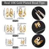 150Pcs 3 Size Brass Bead Tips, Calotte Ends, Clamshell Knot Cover, Real 18K Gold Plated, 4~7.5x2.5~4.5x1.5~3.5mm, Hole: 0.8mm and 0.7~1.6mm, Inner Diameter: 1.2~3.3mm, 50Pcs/size