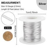 Custom Round Aluminum Wire, Platinum, 10 Gauge, 2.5mm, about 32.81 Feet(10m)/Roll