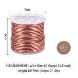 Round Aluminum Wire, Light Salmon, 10 Gauge, 2.5mm, about 80.38 Feet(24.5m)/roll