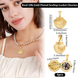 4Pcs 316 Stainless Steel Locket Pendants, Scallop, Real 18K Gold Plated, 23.5x22x9mm, Hole: 10x5mm, Inner Size: 14x15mm