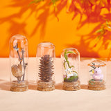 8 Sets 4 Style Glass Dome Cloche Cover, Bell Jar, with Cork Base, For Doll House Container, Dried Flower Display Decoration, Clear, 7.6~8.8x3cm, Capacity: 17~40ml(0.57~1.35fl. oz), 2 sets/style