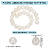 1 Strand Natural Cultured Freshwater Pearl Beads Strands, Potato, Seashell Color, 6~7x7~8.5mm, Hole: 0.5mm, about 24pcs/strand, 7.09''(18cm)