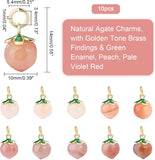 Natural Agate Charms, with Golden Tone Brass Findings & Green Enamel, Peach, Pale Violet Red, 14x10mm, Hole: 3.4mm, 10pcs/box