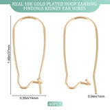 40Pcs Brass Hoop Earrings Findings, Kidney Ear Wire, Real 18K Gold Plated, 37x14mm, Pin: 1mm