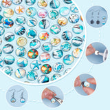 Glass Cabochons, Half Round with Marine Organism Pattern, Mixed Color, 12x4mm, 100pcs/bag, 1bag/box