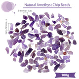 Natural Amethyst Chip Beads, No Hole Beads, 4~19x3~8mm, 100g, about 400pcs/box