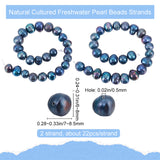 2 Strands Natural Cultured Freshwater Pearl Beads Strands, Dyed, Potato, Dark Slate Blue, 6~8x7~8.5mm, Hole: 0.5mm, about 22pcs/strand, 7.20''(18.3cm)