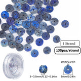 DIY Gemstone Bracelet Making Kit, Including Natural Lapis Lazuli Flat Round Beads, Elastic Thread, Beads: 6x3~3.5mm, Hole: 1mm, 135Pcs/box