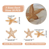 60pcs 3 Styles 1-Hole Zinc Alloy Shank Buttons, Starfish, Light Gold, 14.5~24x15~25.5x7.5~8mm, Hole: 2.4~2.5mm, 20pcs/style