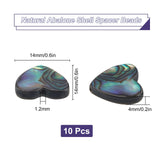 Natural Abalone Shell/Paua Shell Beads, Heart, Colorful, 14x14x4mm, Hole: 1.2mm, 10pcs/box