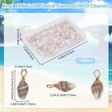 100Pcs Natural Shell Pendants, Shell Charms with Copper Wire, Real 18K Gold Plated, 18~23x7~10x6~7.5mm, Hole: 3.7mm