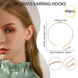 40Pcs Brass Earring Hooks, Golden, 24~26x21~24mm, 21 Gauge, Pin: 0.7mm