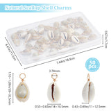 50Pcs Natural Cowrie Shell Pendants, Shell Charms with Real 18K Gold Plated Eco-Friendly Copper Wire, Seashell Color, 28~32.5x14~16.5x11~12.5mm, Hole: 3.6mm