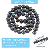 2 Strands Natural Cultured Freshwater Pearl Beads Strands, Dyed, Potato, Black, 6~8x7~8.5mm, Hole: 0.5mm, about 22pcs/strand, 7.20 inch(18.3cm)