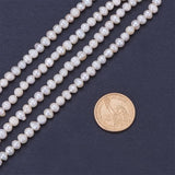 Natural Cultured Freshwater Pearl Beads, Grade A, Potato, Beige,  6~7.5x6.5~9.5x6.5~7.5mm, Hole: 0.8mm, about 49~56pcs/strand, 12.91~14.13 inch(32.8~35.9cm)