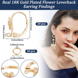 20Pcs Brass Leverback Earring Findings, Flower, with Loops & 20Pcs Open Jump Rings, Real 18K Gold Plated, 17x8mm, Hole: 1.5mm