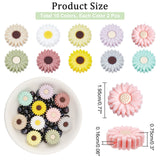 20Pcs 10 Colors Silicone Beads, Daisy, Mixed Color, 19.5x7.5mm, Hole: 1.6mm, 2pcs/color