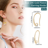 40Pcs Brass Earring Hooks, with Horizontal Loops, Real 18K Gold Plated, 19x10x2mm, Hole: 2mm, 18 Gauge, Pin: 1mm